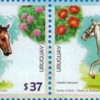 2025 Catalogue update and new Catalogue&nbsp;2026